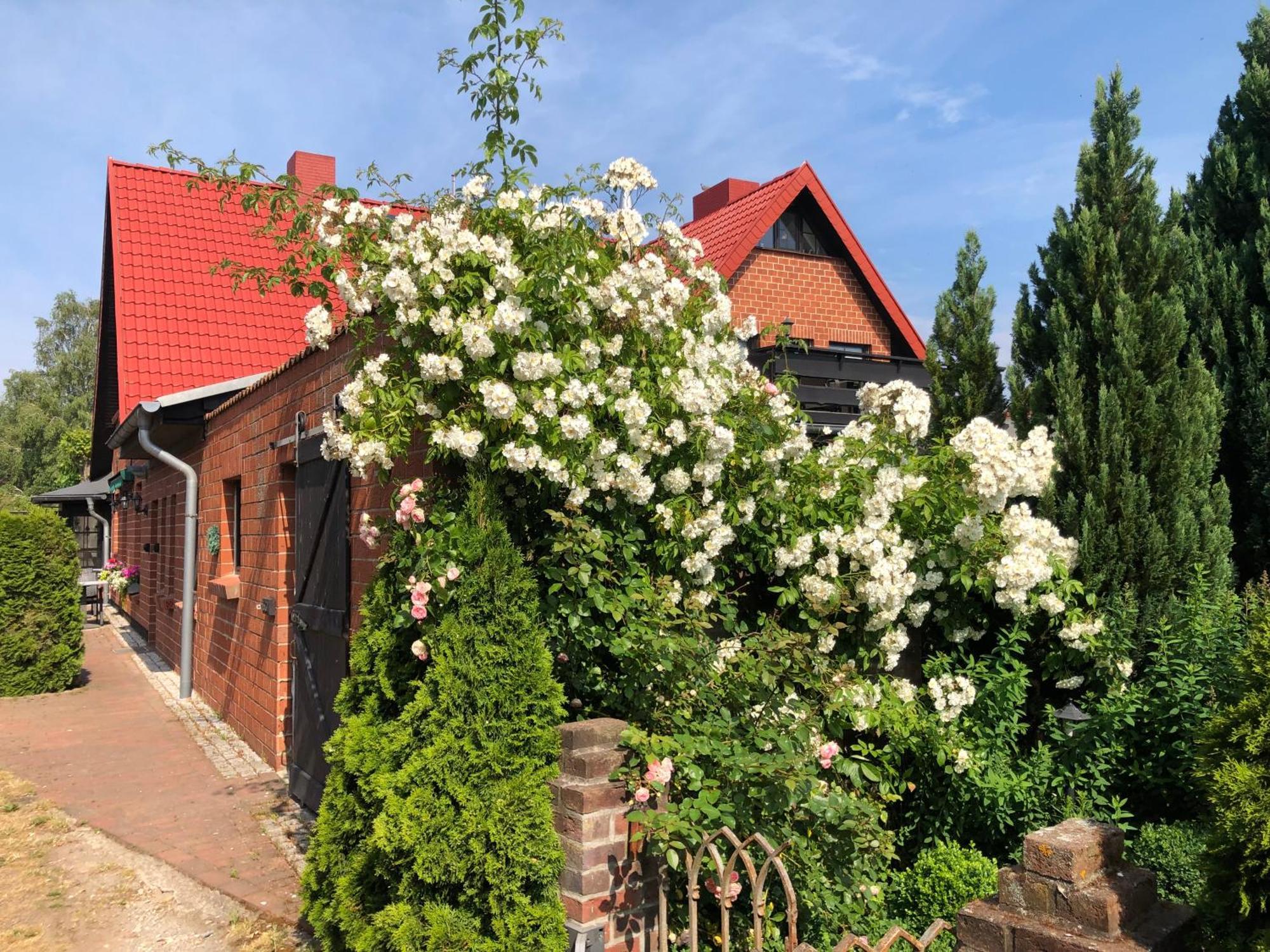 Landhaus Schlunt Wustrow  Εξωτερικό φωτογραφία